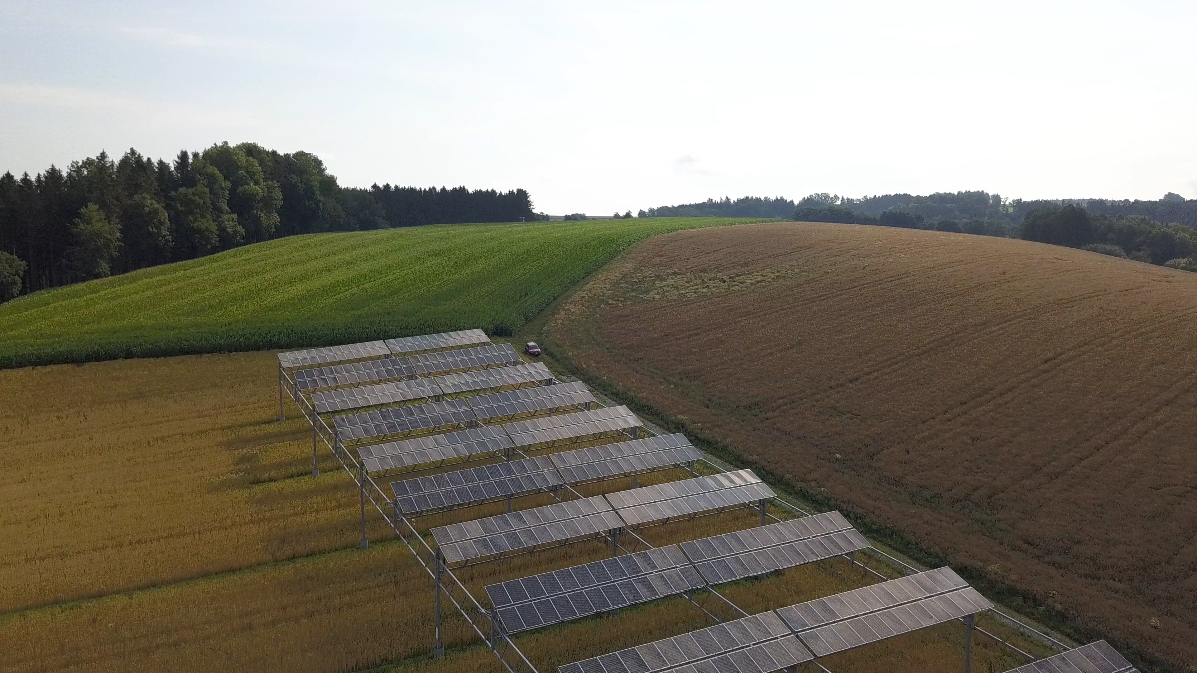 Agri-PV mit landwirtschaftlicher Nutzung